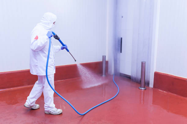 Pre-Holiday Cleaning in Rio Del Mar, CA